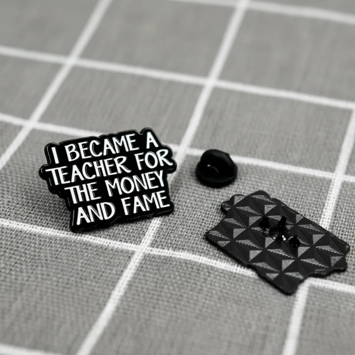 I became teacher for the money and fame / Stal(a) jsem se učitelem(/kou) kvůli penězům a slávě