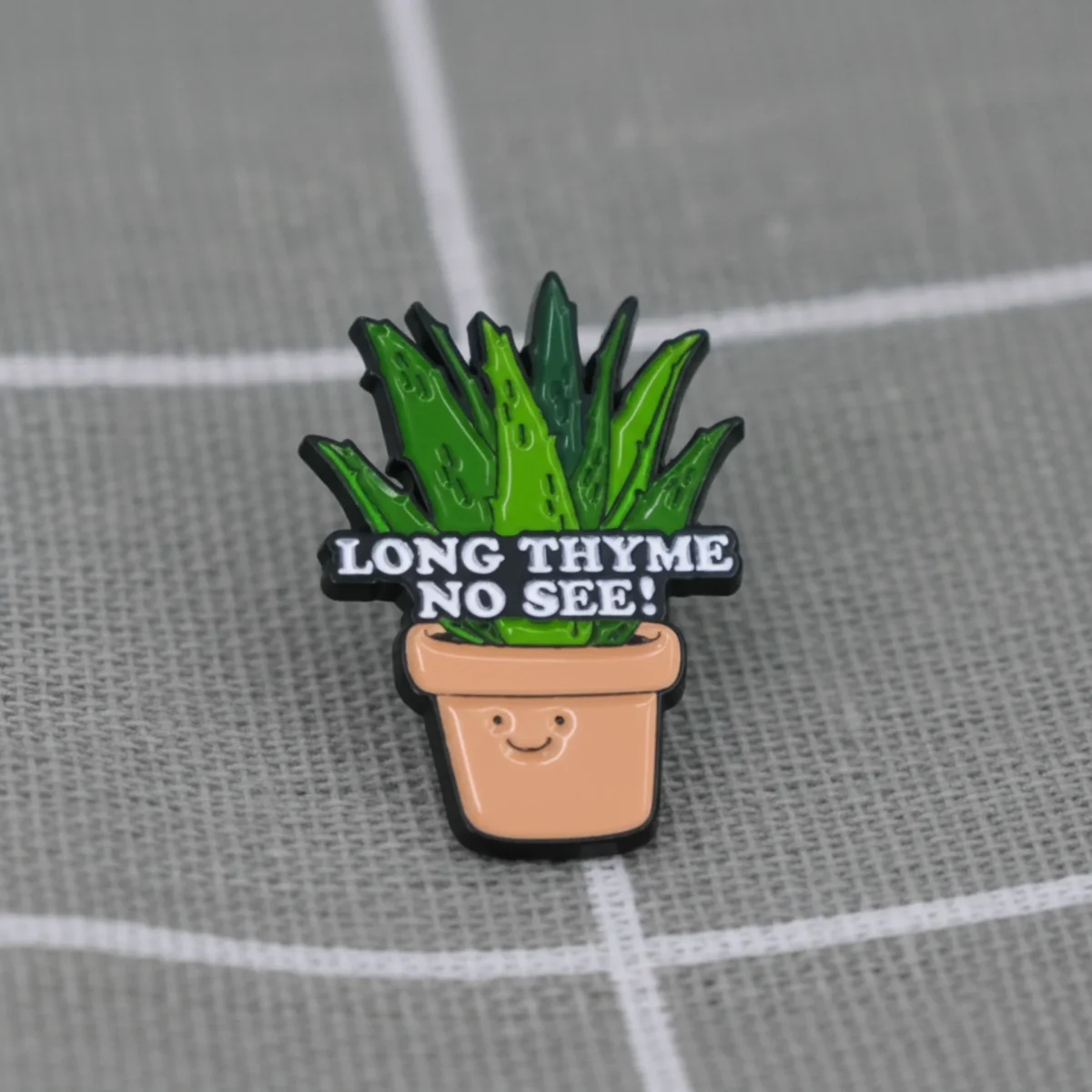 kvetinac-s-tymianem-long-thyme-no-see-1 Květináč s tymiánem - Long thyme no see!