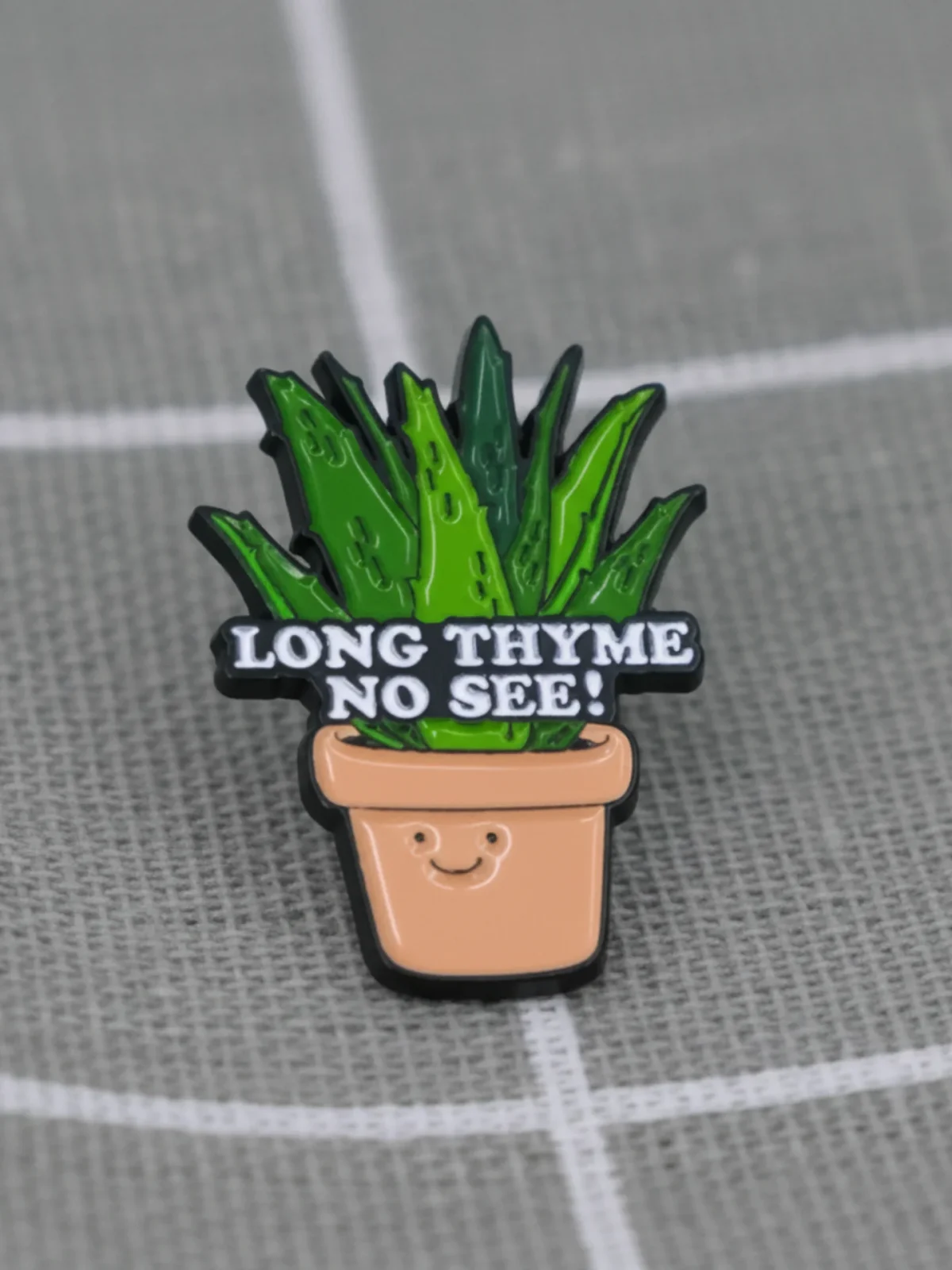 kvetinac-s-tymianem-long-thyme-no-see-1 Květináč s tymiánem - Long thyme no see!