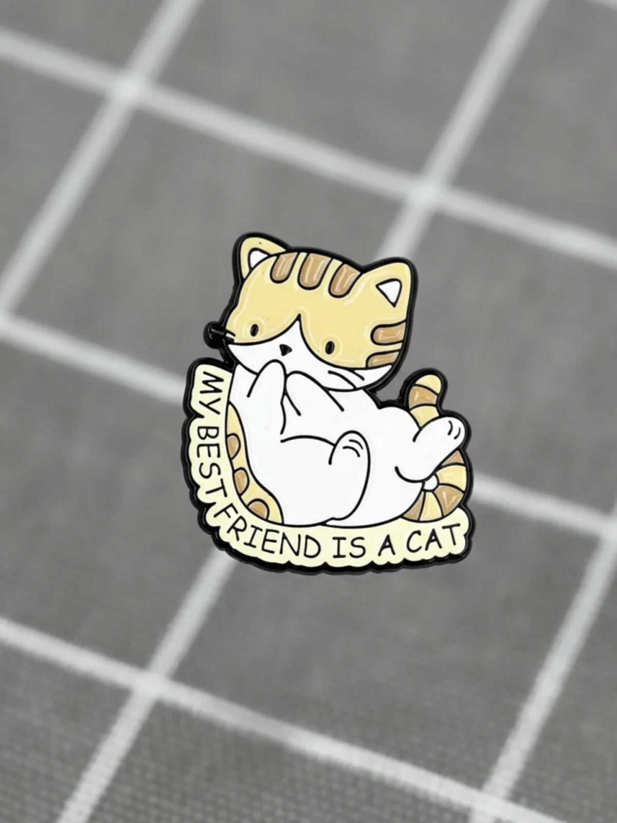 My best friend is a cat / Můj nejlepší kamarád je kočka